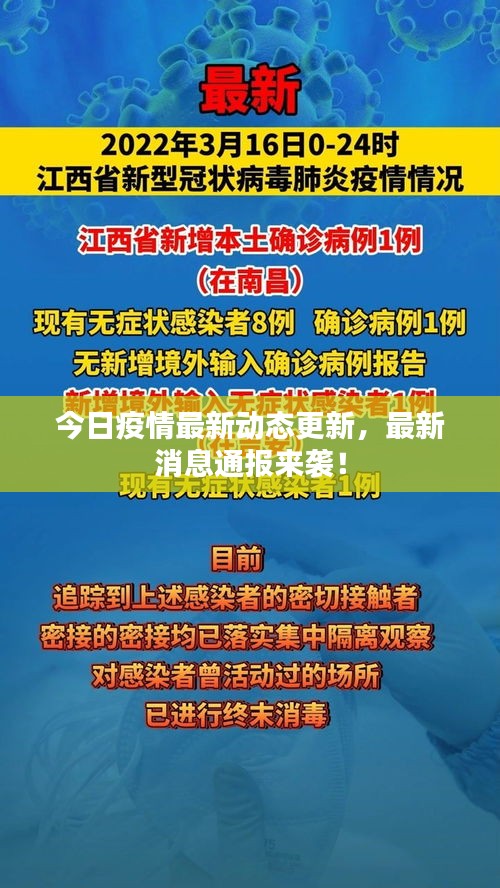 今日疫情最新動態(tài)更新，最新消息通報來襲！