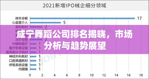 咸寧舞蹈公司排名揭曉，市場分析與趨勢(shì)展望