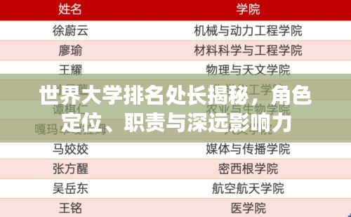 世界大學(xué)排名處長揭秘，角色定位、職責(zé)與深遠影響力