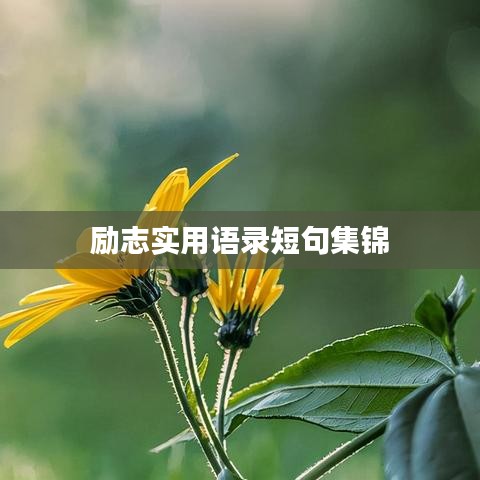 勵志實用語錄短句集錦