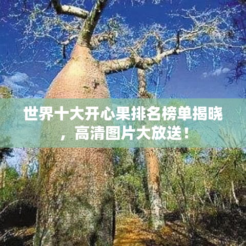 世界十大開(kāi)心果排名榜單揭曉，高清圖片大放送！