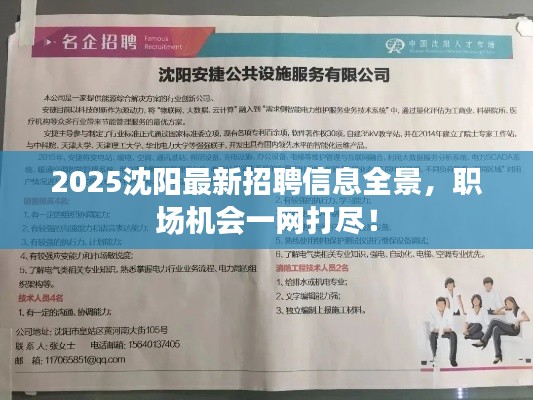 2025沈陽最新招聘信息全景，職場機會一網(wǎng)打盡！