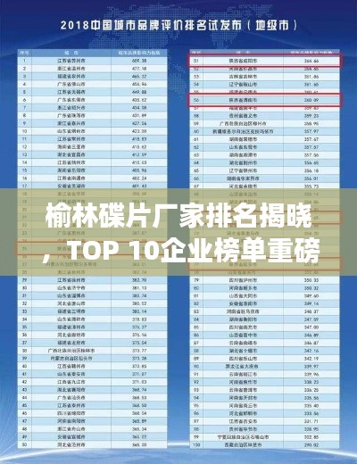 榆林碟片廠家排名揭曉，TOP 10企業(yè)榜單重磅出爐！