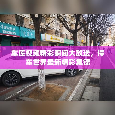 車(chē)庫(kù)視頻精彩瞬間大放送，停車(chē)世界最新精彩集錦