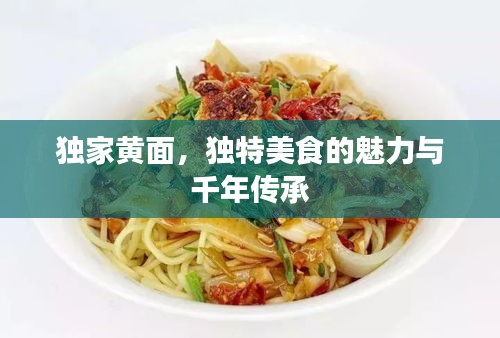 獨(dú)家黃面，獨(dú)特美食的魅力與千年傳承