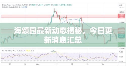 海頌園最新動態(tài)揭秘，今日更新消息匯總