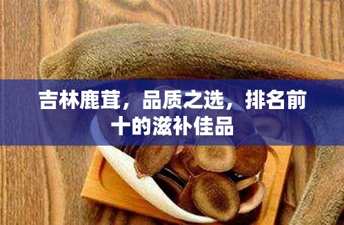 吉林鹿茸，品質(zhì)之選，排名前十的滋補(bǔ)佳品