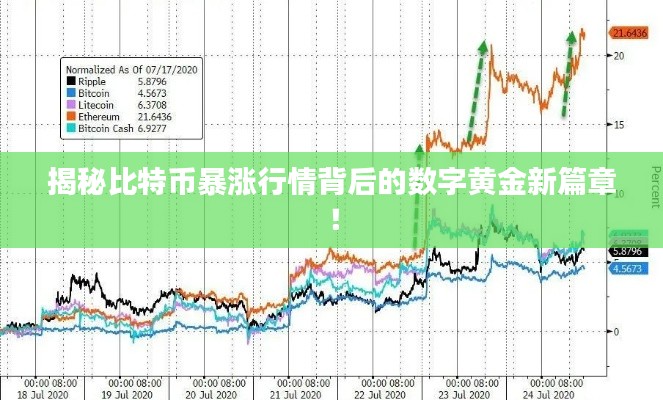 揭秘比特幣暴漲行情背后的數(shù)字黃金新篇章！