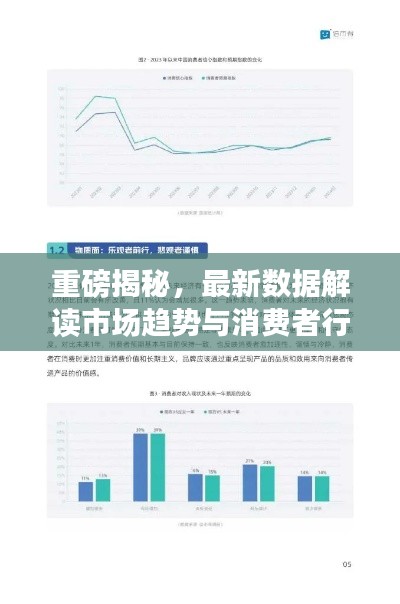 重磅揭秘，最新數(shù)據(jù)解讀市場趨勢與消費者行為，2024以舊換新趨勢分析