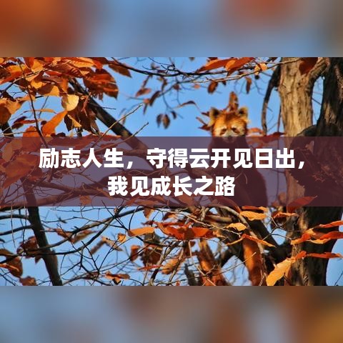 勵(lì)志人生，守得云開(kāi)見(jiàn)日出，我見(jiàn)成長(zhǎng)之路