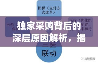 獨家采購背后的深層原因解析，揭秘設(shè)備采購背后的因素