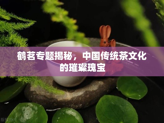 鶴茗專題揭秘，中國(guó)傳統(tǒng)茶文化的璀璨瑰寶