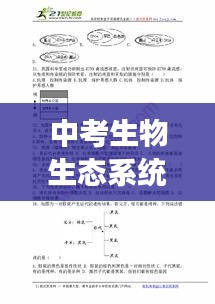 中考生物生態(tài)系統(tǒng)深度解析，專題解讀與知識(shí)要點(diǎn)梳理