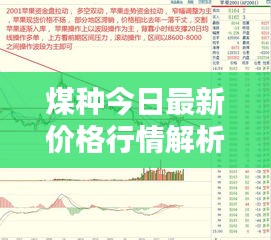 煤種今日最新價(jià)格行情解析