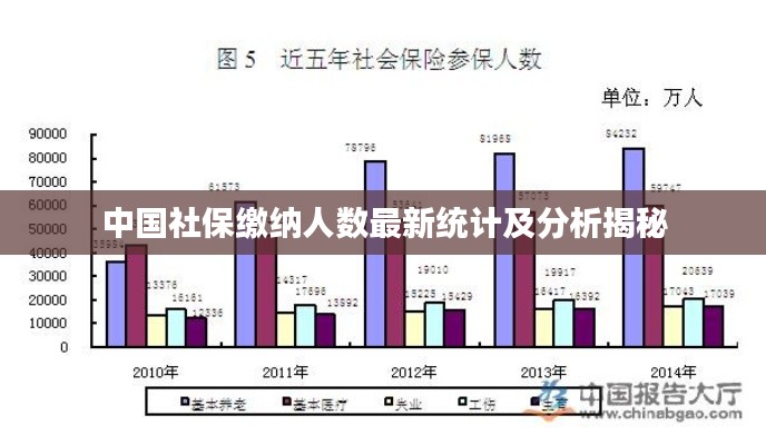 中國社保繳納人數(shù)最新統(tǒng)計及分析揭秘