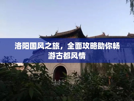 洛陽國風之旅，全面攻略助你暢游古都風情