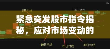 緊急突發(fā)股市指令揭秘，應對市場變動的關鍵策略指南