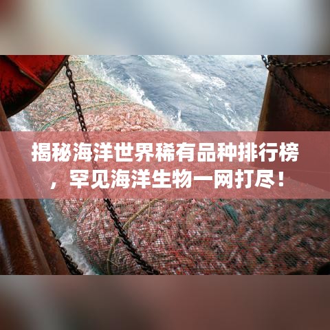 揭秘海洋世界稀有品種排行榜，罕見(jiàn)海洋生物一網(wǎng)打盡！