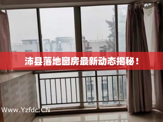 2025年2月 第213頁