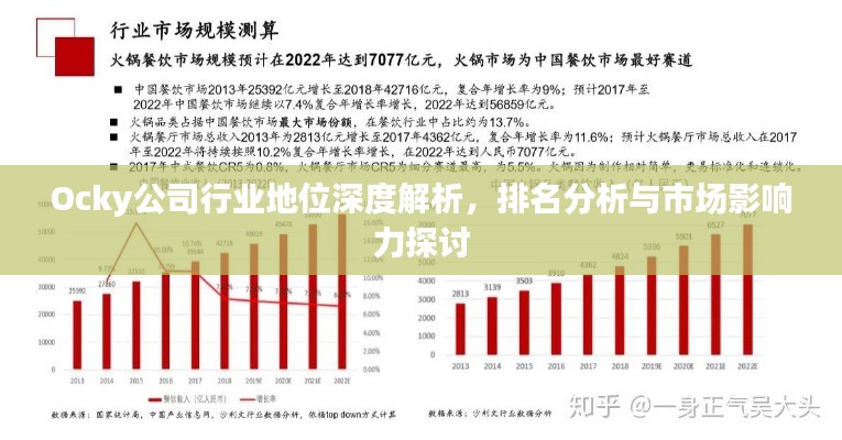 Ocky公司行業(yè)地位深度解析，排名分析與市場影響力探討