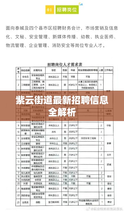 紫云街道最新招聘信息全解析