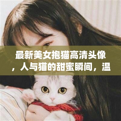 最新美女抱貓高清頭像，人與貓的甜蜜瞬間，溫馨畫面不容錯(cuò)過(guò)