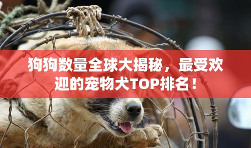 狗狗數(shù)量全球大揭秘，最受歡迎的寵物犬TOP排名！