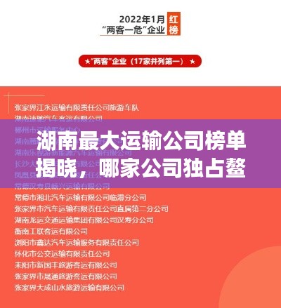 湖南最大運輸公司榜單揭曉，哪家公司獨占鰲頭？