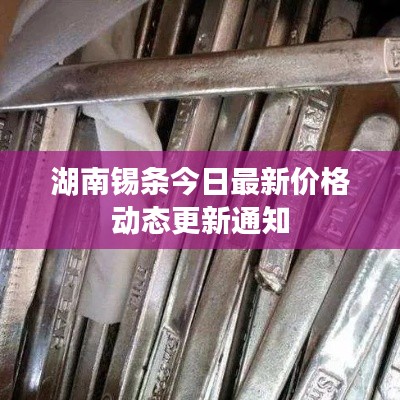 湖南錫條今日最新價格動態(tài)更新通知