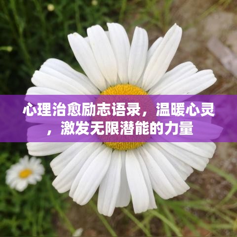 心理治愈勵志語錄，溫暖心靈，激發(fā)無限潛能的力量