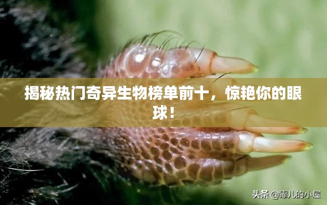 揭秘?zé)衢T奇異生物榜單前十，驚艷你的眼球！