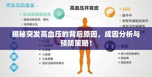 揭秘突發(fā)高血壓的背后原因，成因分析與預(yù)防策略！