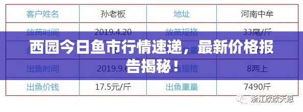 西園今日魚(yú)市行情速遞，最新價(jià)格報(bào)告揭秘！