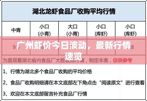 廣州蝦價今日波動，最新行情速覽