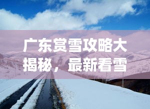 廣東賞雪攻略大揭秘，最新看雪好去處