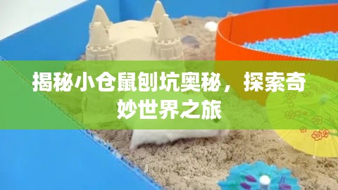 揭秘小倉(cāng)鼠刨坑奧秘，探索奇妙世界之旅