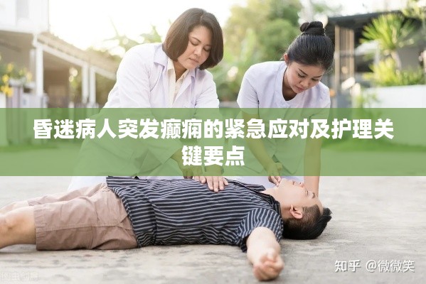 昏迷病人突發(fā)癲癇的緊急應對及護理關鍵要點