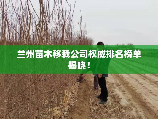 蘭州苗木移栽公司權(quán)威排名榜單揭曉！