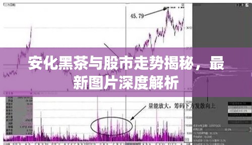 安化黑茶與股市走勢(shì)揭秘，最新圖片深度解析