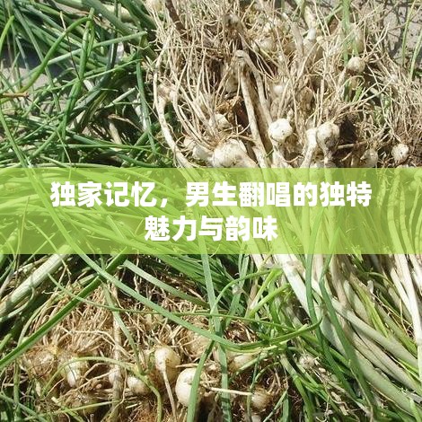 獨(dú)家記憶，男生翻唱的獨(dú)特魅力與韻味