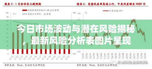 今日市場波動與潛在風險揭秘，最新風險分析表圖片呈現(xiàn)