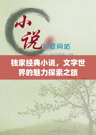 獨家經(jīng)典小說，文字世界的魅力探索之旅