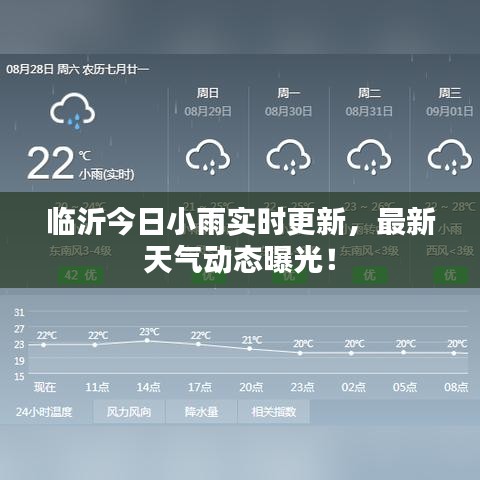 臨沂今日小雨實(shí)時更新，最新天氣動態(tài)曝光！