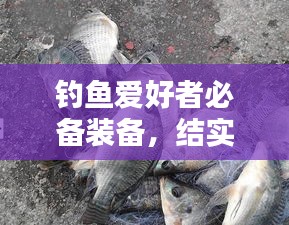 釣魚愛好者必備裝備，結(jié)實不斷的釣竿，讓你輕松釣上大魚！