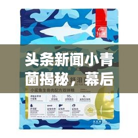 頭條新聞小青菌揭秘，幕后故事與巨大影響力