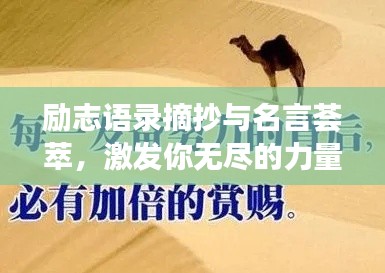 勵志語錄摘抄與名言薈萃，激發(fā)你無盡的力量源泉