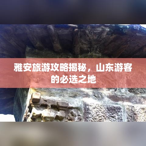 雅安旅游攻略揭秘，山東游客的必選之地