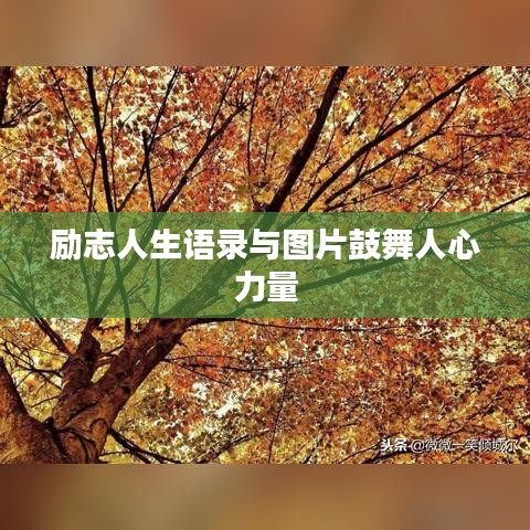 勵(lì)志人生語(yǔ)錄與圖片鼓舞人心力量