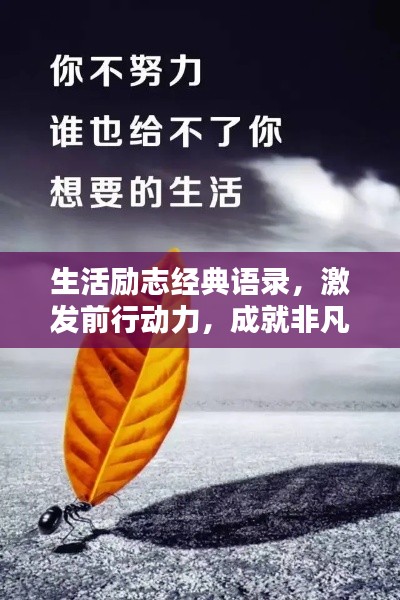 生活勵志經(jīng)典語錄，激發(fā)前行動力，成就非凡人生