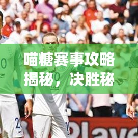 喵糖賽事攻略揭秘，決勝秘訣助你輕松奪冠！